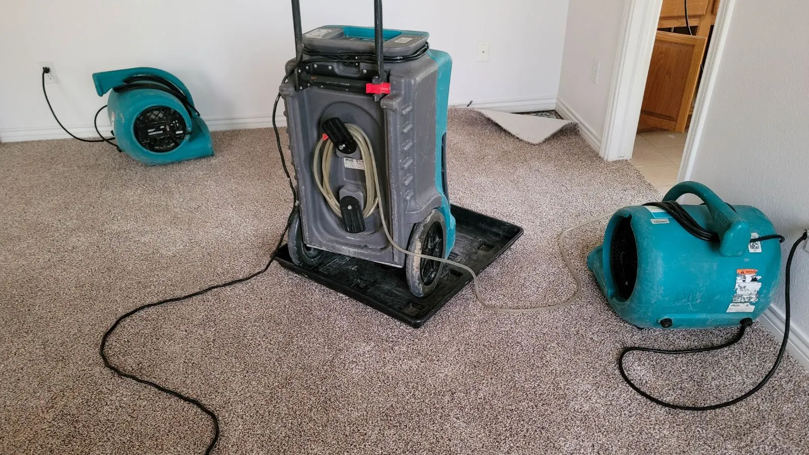 Air movers and a dehumidifier set up on carpet to dry a room after water damage