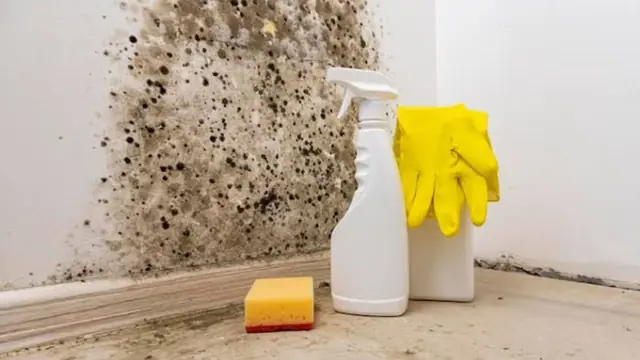 Black mold on a wall corner with gloves and spray bottle ready for cleanup