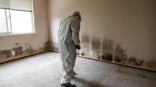 Person in a protective suit inspecting mold along the lower wall of an empty room