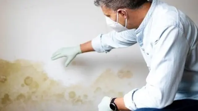Inspector in a mask and gloves examining a water-stained wall